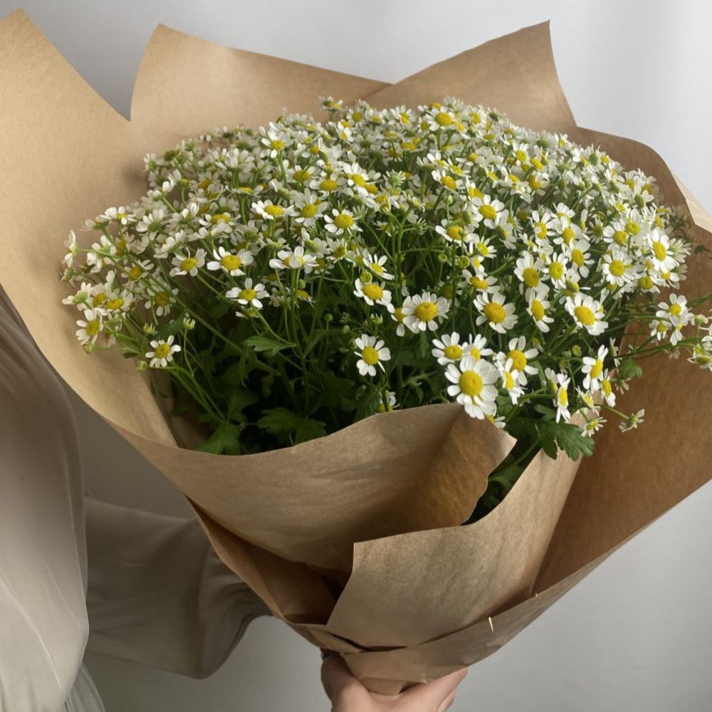 Свежих 19 кустовых ромашек в крафте