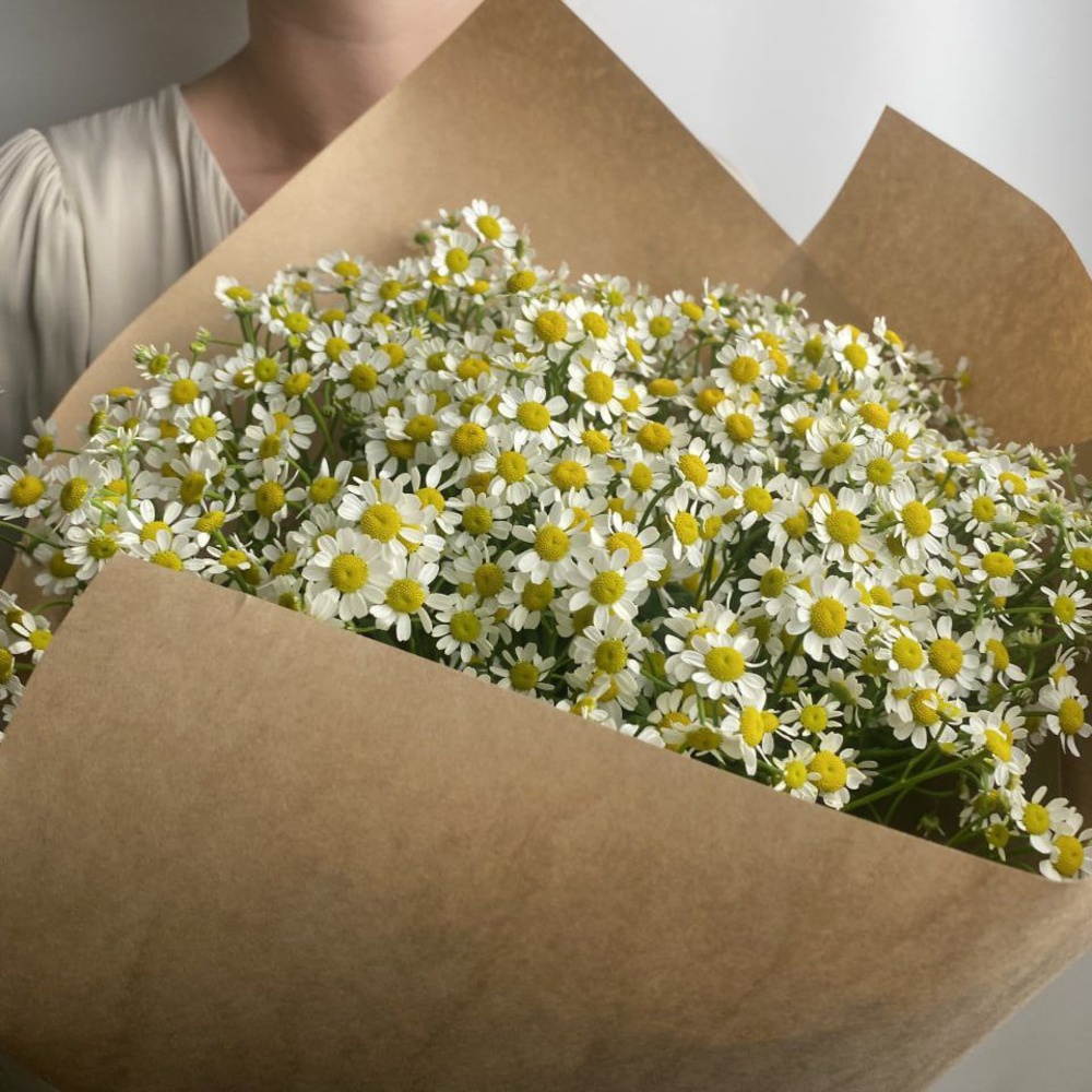 Свежих 19 кустовых ромашек в крафте