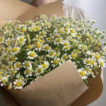 Доставка цветов по СПБ - Фотография 1