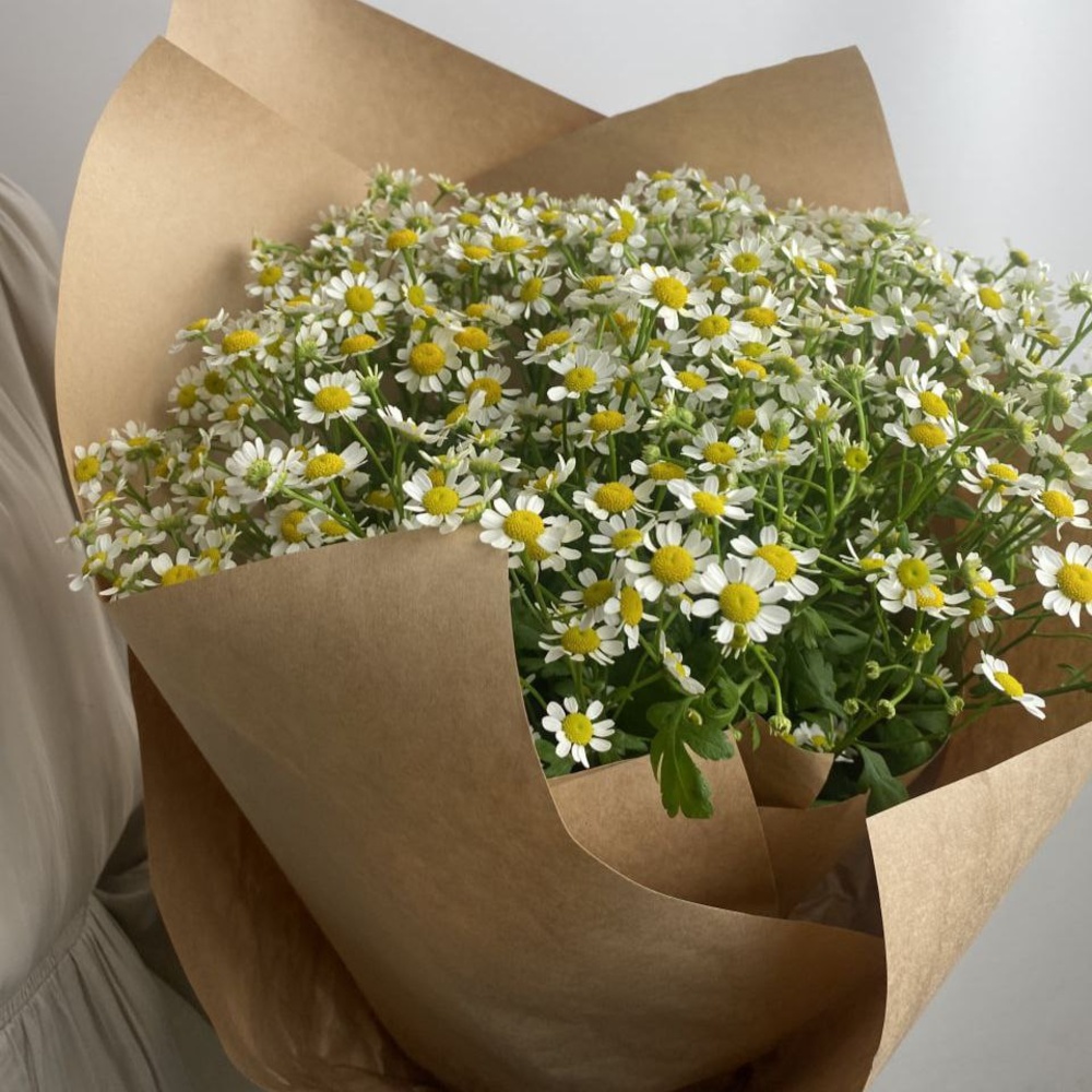 Свежих 15 кустовых ромашек в крафте