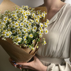 Букет «Свежих 11 кустовых ромашек в крафте» Букет «Свежих 11 кустовых ромашек в крафте»