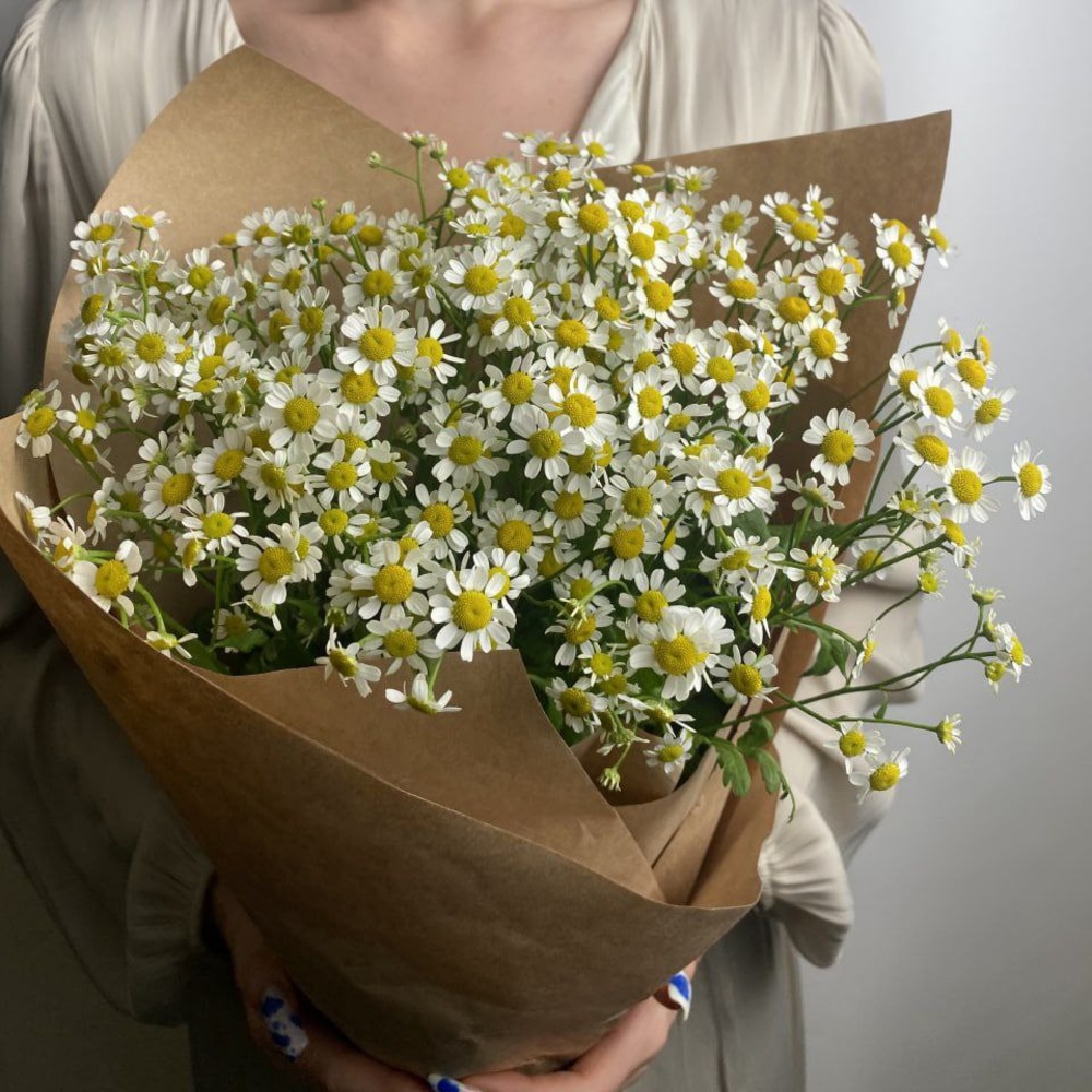 Свежих 9 кустовых ромашек в крафте