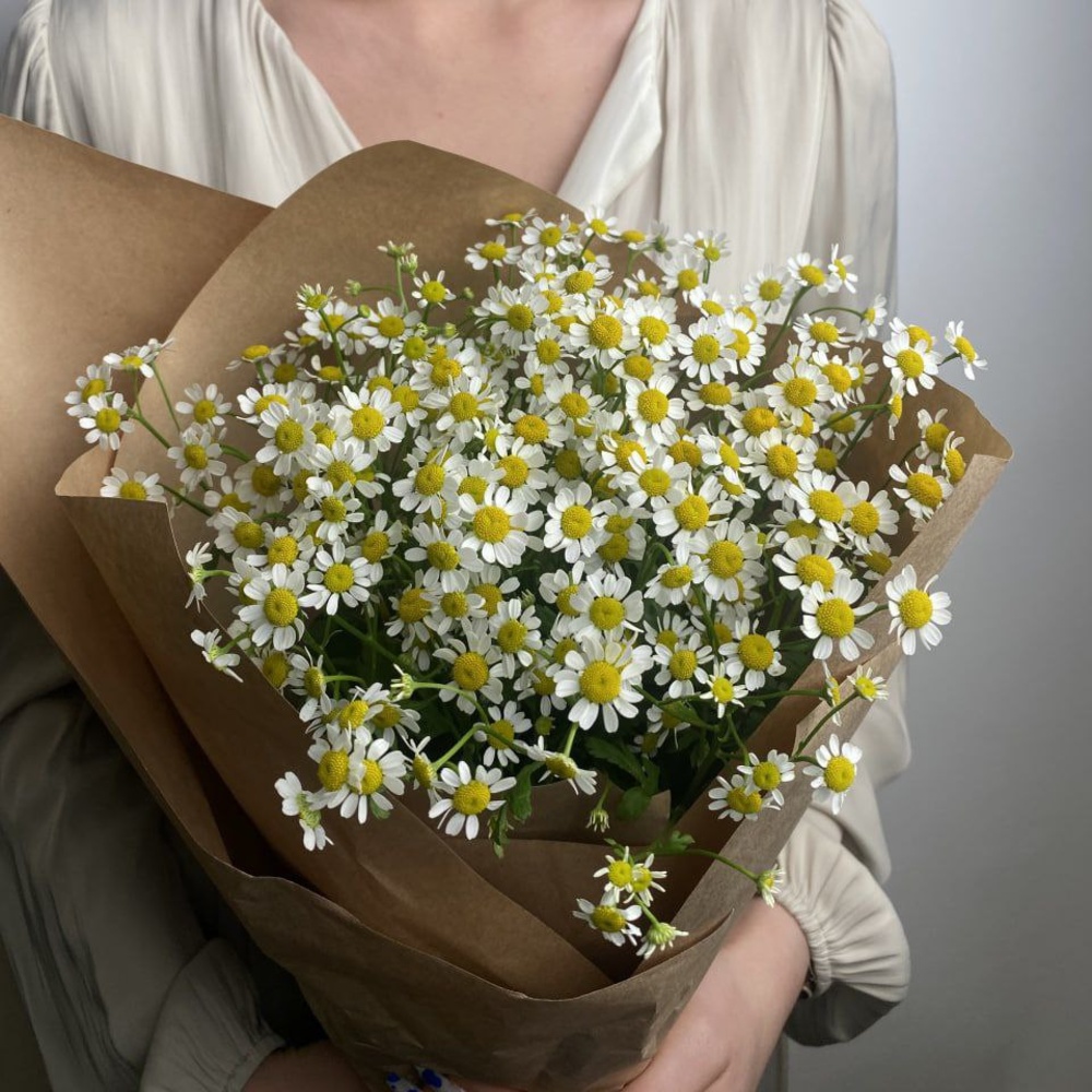 Свежих 7 кустовых ромашек в крафте 