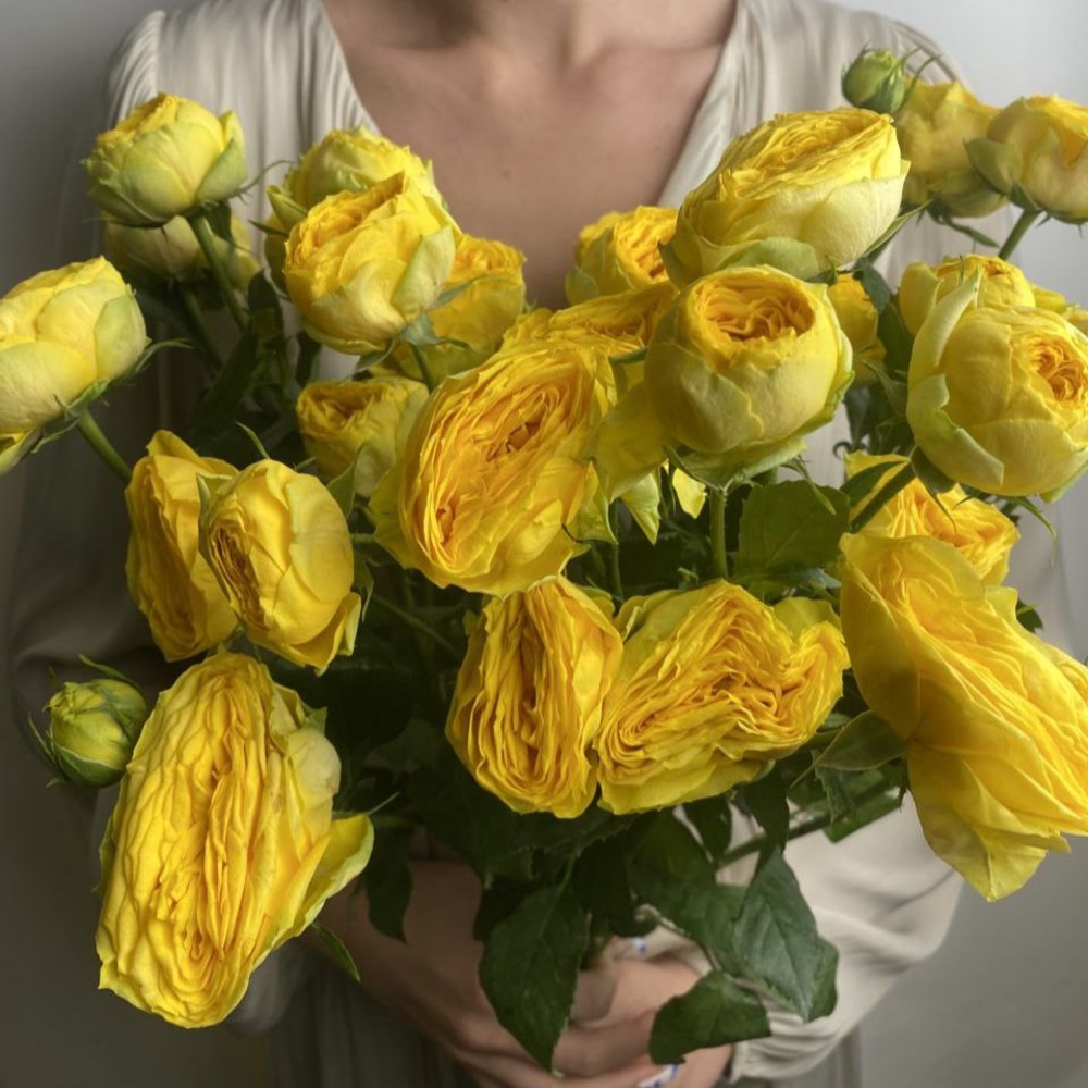 Свежих 5 пионовидных кустовых роз под ленту