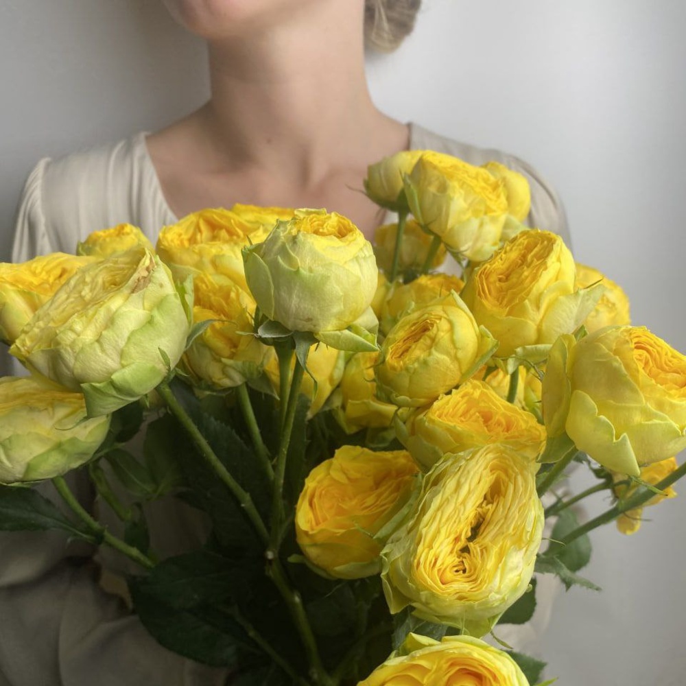 Свежих 7 пионовидных кустовых роз под ленту