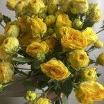 Доставка цветов по СПБ - Фотография 3 Доставка цветов по СПБ - Фотография 3