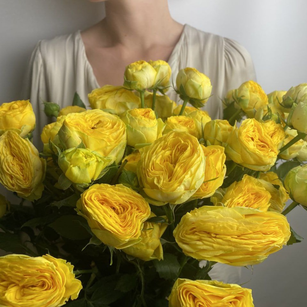 Свежих 11 пионовидных кустовых роз под ленту