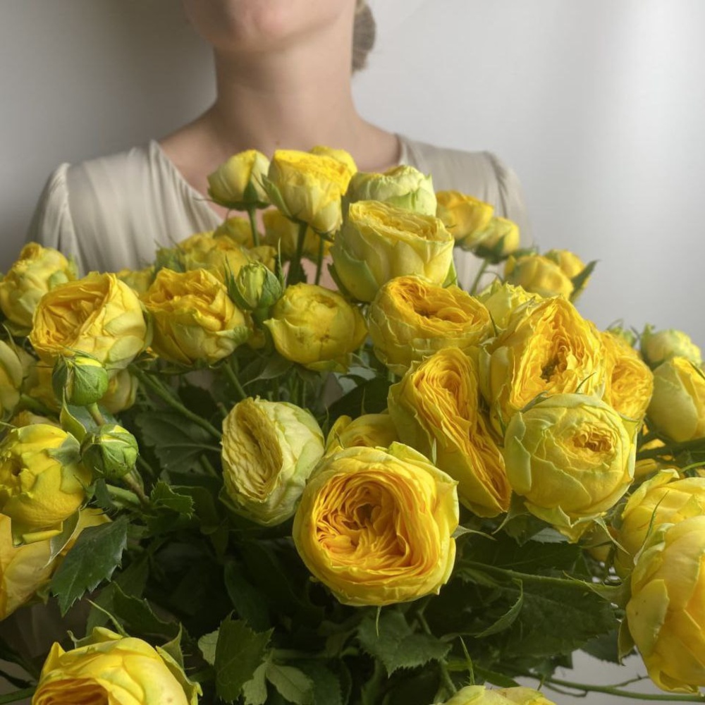 Свежих 13 пионовидных кустовых роз под ленту