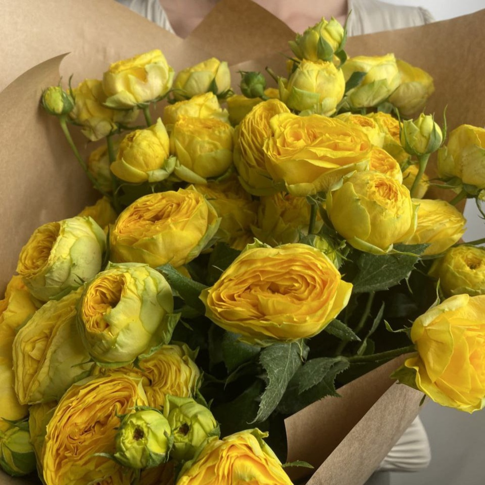 Свежих 9 пионовидных кустовых роз в крафте