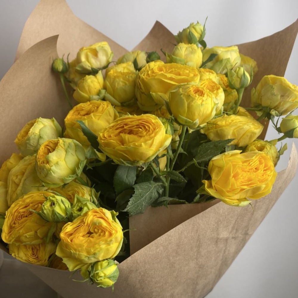 Свежих 9 пионовидных кустовых роз в крафте