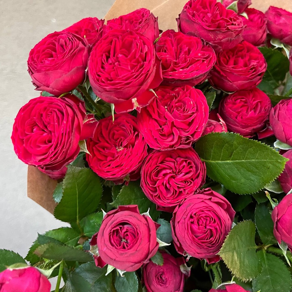 Пламенная маджента: 5 красных пионовидных роз