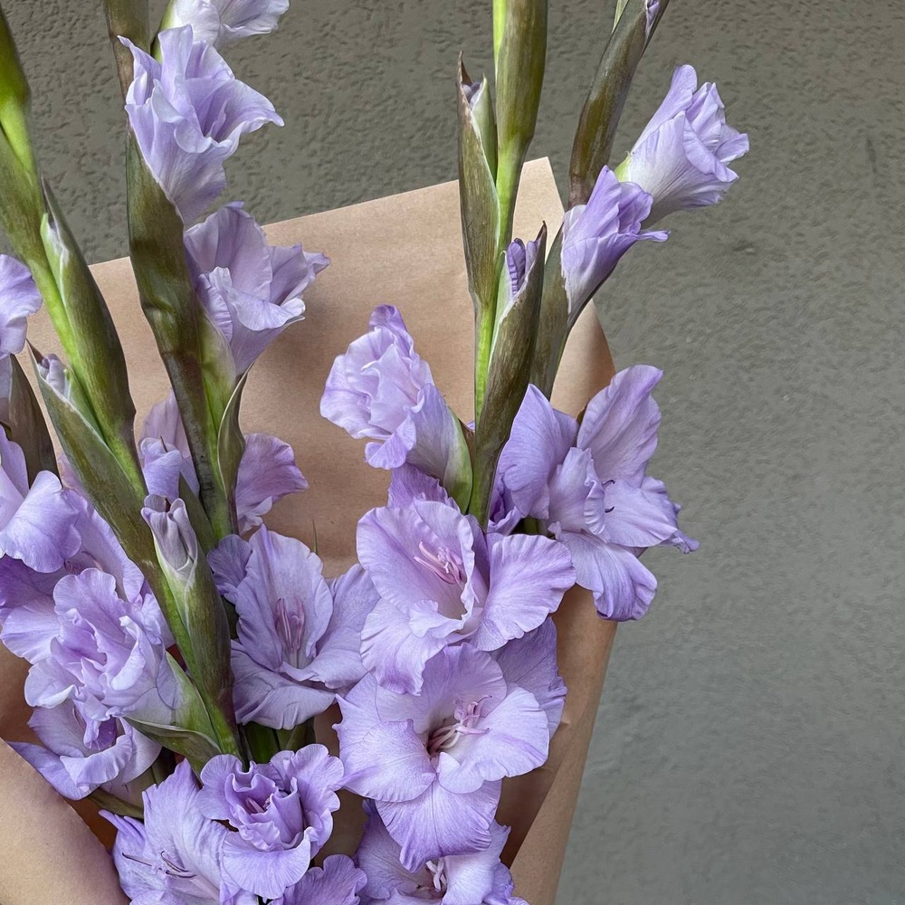 Аметистовый берег: 5 гладиолусов в крафте