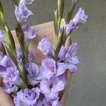 Аметистовый берег: 5 гладиолусов в крафте с доставкой в Санкт-Петербурге - Фотография 2