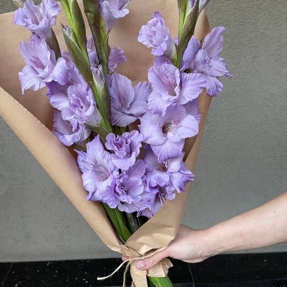 Аметистовый берег: 5 гладиолусов в крафте