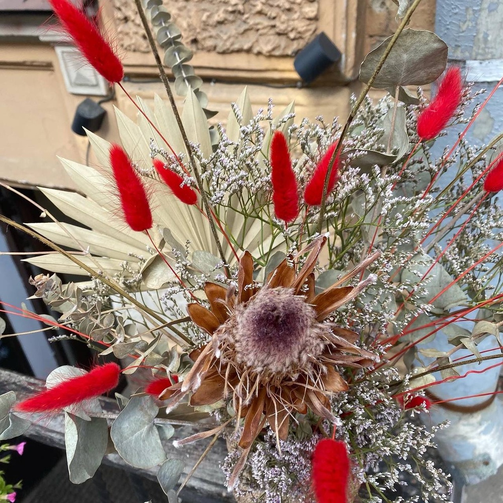 Редкое солнце вечно пасмурного города П: краспедия, протея, эвкалипт