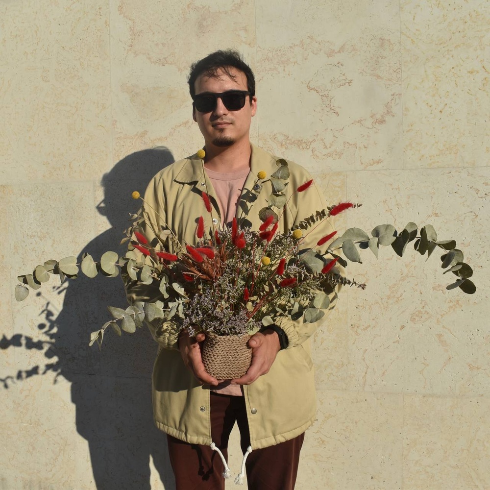 Редкое солнце вечно пасмурного города П: краспедия, протея, эвкалипт