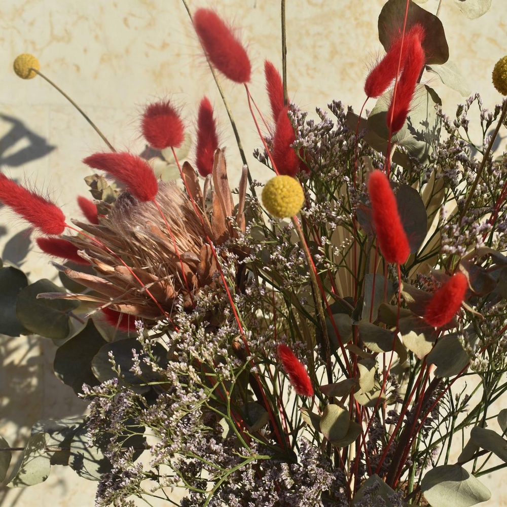 Редкое солнце вечно пасмурного города П: краспедия, протея, эвкалипт