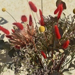 redkoe-solntse-vechno-pasmurnogo-goroda-p-kraspediya-proteya-evkalipt - Фотография 3