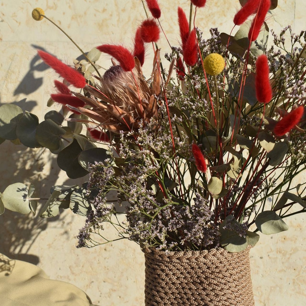 Редкое солнце вечно пасмурного города П: краспедия, протея, эвкалипт