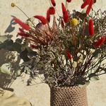 redkoe-solntse-vechno-pasmurnogo-goroda-p-kraspediya-proteya-evkalipt - Фотография 5