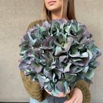 Ночь таинств: космическая гортензия купить с доставкой в Санкт-Петербурге - Фотография 4