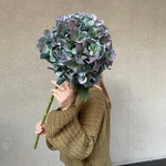 Ночь таинств: космическая гортензия купить с доставкой в Санкт-Петербурге - Фотография 1