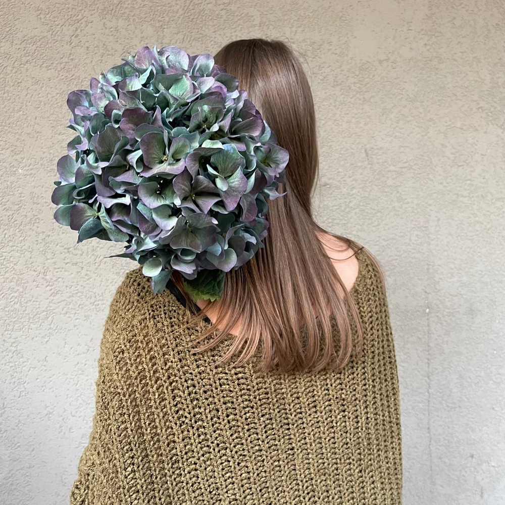 Ночь таинств: космическая гортензия