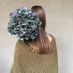 Ночь таинств: космическая гортензия купить с доставкой в Санкт-Петербурге - Фотография 2