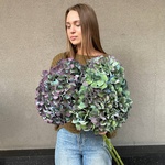 Ночь таинств: три космические гортензии с доставкой в Санкт-Петербурге - Фотография 3