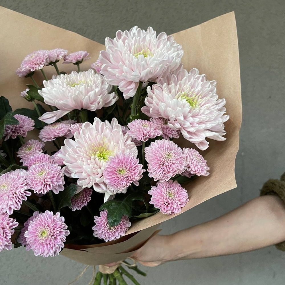 Млечный Путь: микс сиреневых хризантем