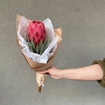 Сердце Африки: экзотическая протея с доставкой в Санкт-Петербурге - Фотография 3