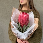 Сердце Африки: экзотическая протея с доставкой в Санкт-Петербурге - Фотография 1