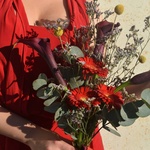 kharms-i-vino-chyernye-kally-kraspediya-gerbera - Фотография 4