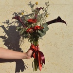 kharms-i-vino-chyernye-kally-kraspediya-gerbera - Фотография 1