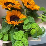 Дачный сезон: подсолнухи и листья малины с доставкой в Санкт-Петербурге - Фотография 3