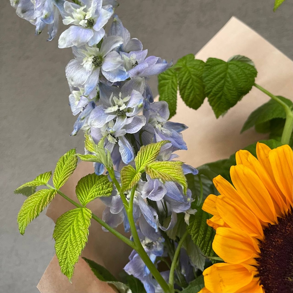 Лето у бабули: подсолнух и другие цветы