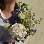 dvortsovye-spletni-gortenziya-delfinium-molyutsella - Фотография 5