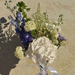 dvortsovye-spletni-gortenziya-delfinium-molyutsella - Фотография 1