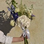 dvortsovye-spletni-gortenziya-delfinium-molyutsella - Фотография 3