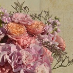 potseluev-most-gortenziya-eustoma-mattiola - Фотография 4