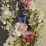 promenad-po-griboedova-delfinium-eustoma-matrikariya - Фотография 2