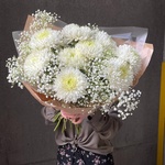 Белые ночи: стойкая хризантема и гипсофила в Санкт-Петербурге - Фотография 1