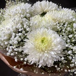 Белые ночи: стойкая хризантема и гипсофила в Санкт-Петербурге - Фотография 2