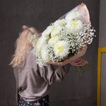 Белые ночи: стойкая хризантема и гипсофила в Санкт-Петербурге - Фотография 7