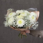 Белые ночи: стойкая хризантема и гипсофила в Санкт-Петербурге - Фотография 6