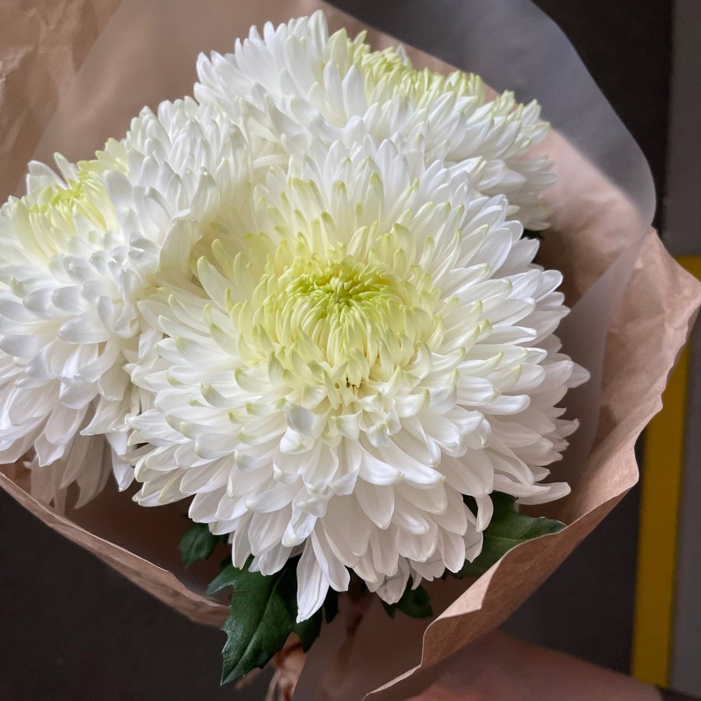 Белые ночи: 3 стойких хризантем в крафте