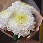 Белые ночи: 3 стойких хризантем в крафте в Санкт-Петербурге - Фотография 2