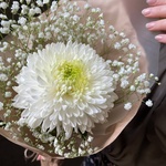 Белые ночи: букет-комплимент для милашек в Санкт-Петербурге - Фотография 2