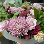 Мои заветные мечты: космическая хризантема, малина и другие цветы в Санкт-Петербурге - Фотография 2