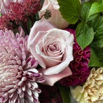 Мои заветные мечты: космическая хризантема, малина и другие цветы в Санкт-Петербурге - Фотография 9